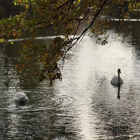 Сasa de vacaciones 4 Person In Gråsten